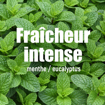 Gel énergétique Red Tonic Menthe Eucalyptus - Esprit Padel Shop