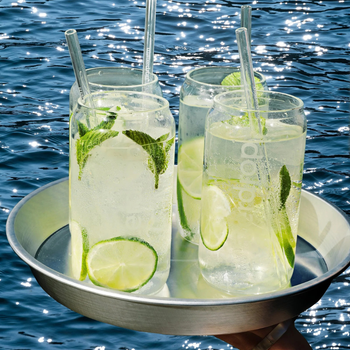 Pastilles d'hydratation Waterdrop Microdrink Mojito x12 - Esprit Padel Shop