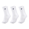 Chaussettes Tecnifibre Classic Blanc x3