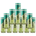 Pack of 12 tubes of Head Padel One balls x Esprit Padel Shop
