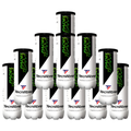 Pack de 12 tubos de pelotas Tecnifibre Team