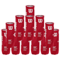 Pack de 12 tubos de bolas Wilson Padel X3